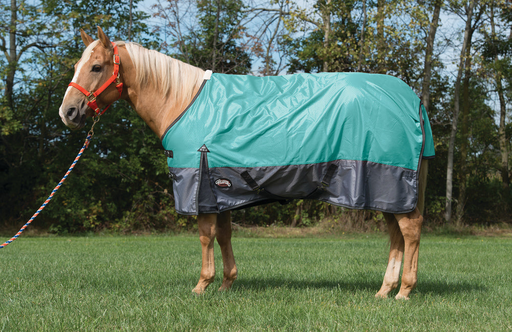 Does Your Horse's Blanket Fit Correctly?