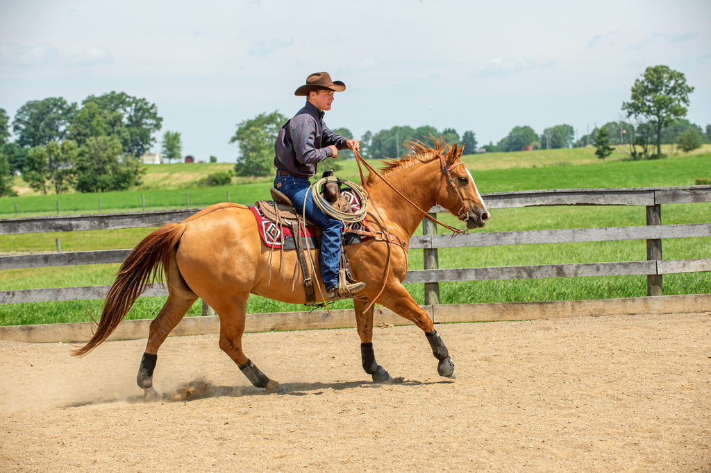 Success in the Saddle: Finding Success at the Lope