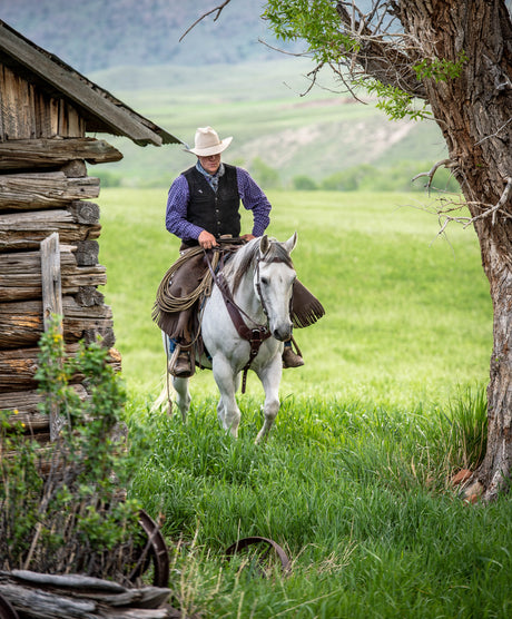 12th Annual Diamond-McNabb Ranch Horse Sale to be Hosted Saturday, June 6, 2020 in Wyoming