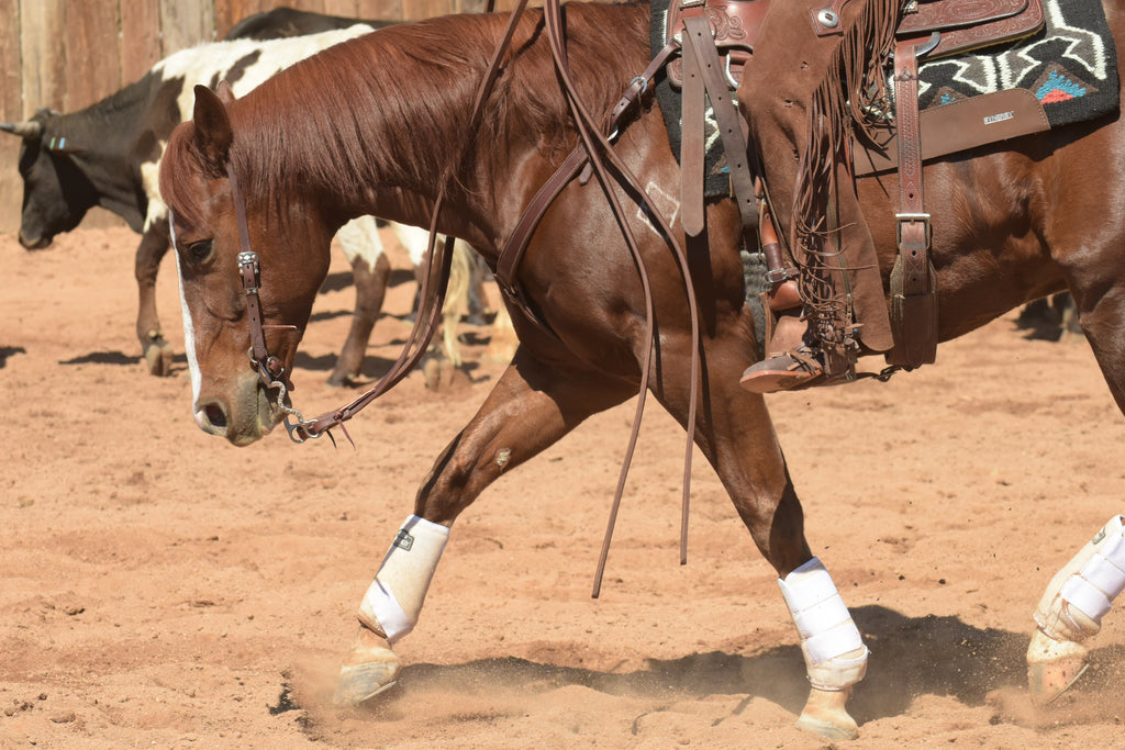 Does my horse need a back cinch?