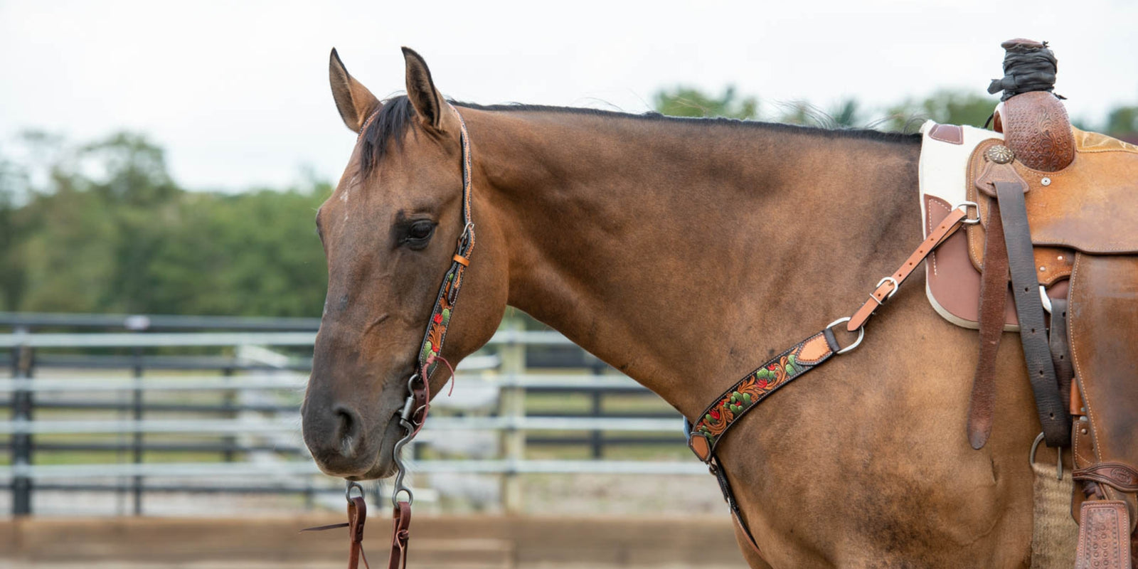 Turquoise Cross: New Collections, Timeless Bond