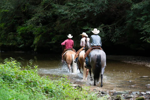 Preparing Your Horse for Safe, Enjoyable Trail Rides