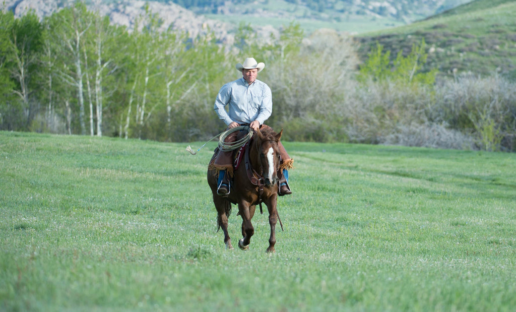 Loping with Confidence by Ken McNabb