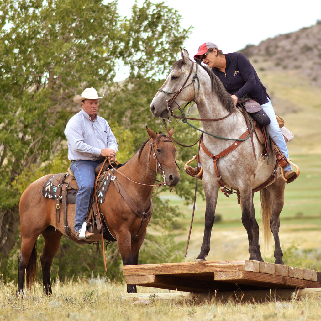 Ken McNabb’s Guide to Helping Your Scared Horse Work Through Fear