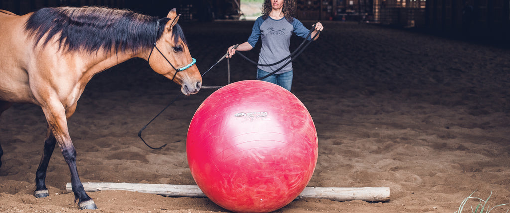 Stacy Westfall Activity Horse Balls
