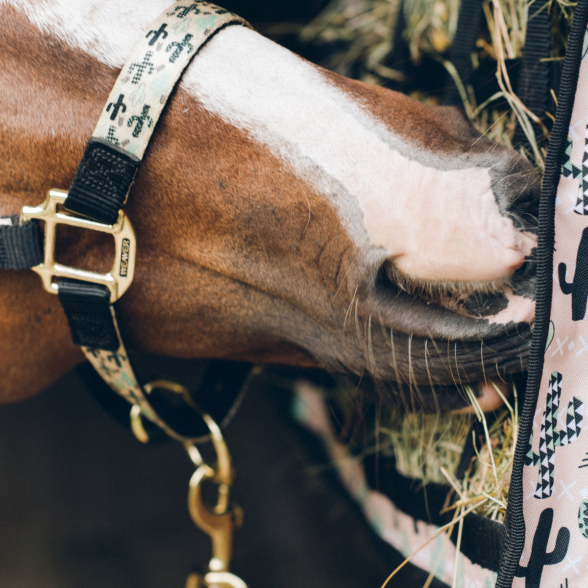 Cactus Design Horse Tack Collection Weaver Equine
