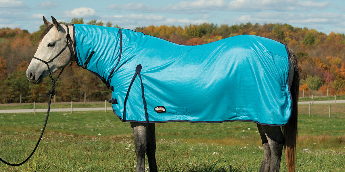 Premium Turquoise Horse Turnout Blanket main image 1