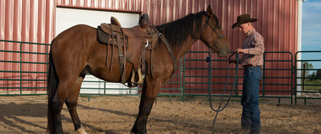 Lunge Lines