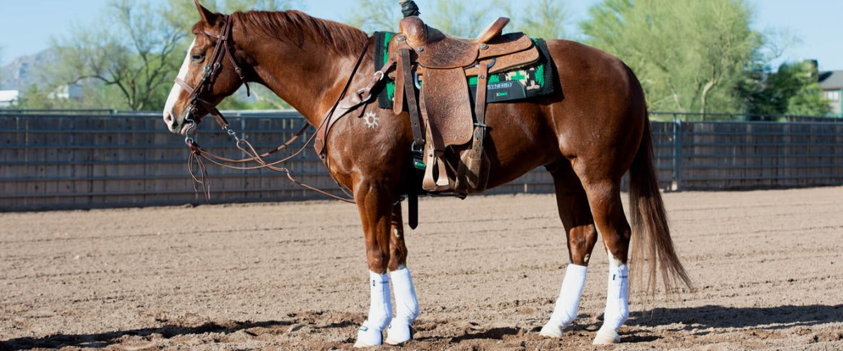 Smarty Tack Collection