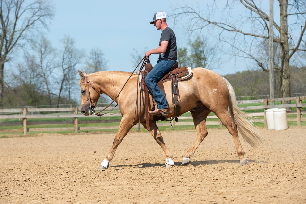 Horse Training Equipment