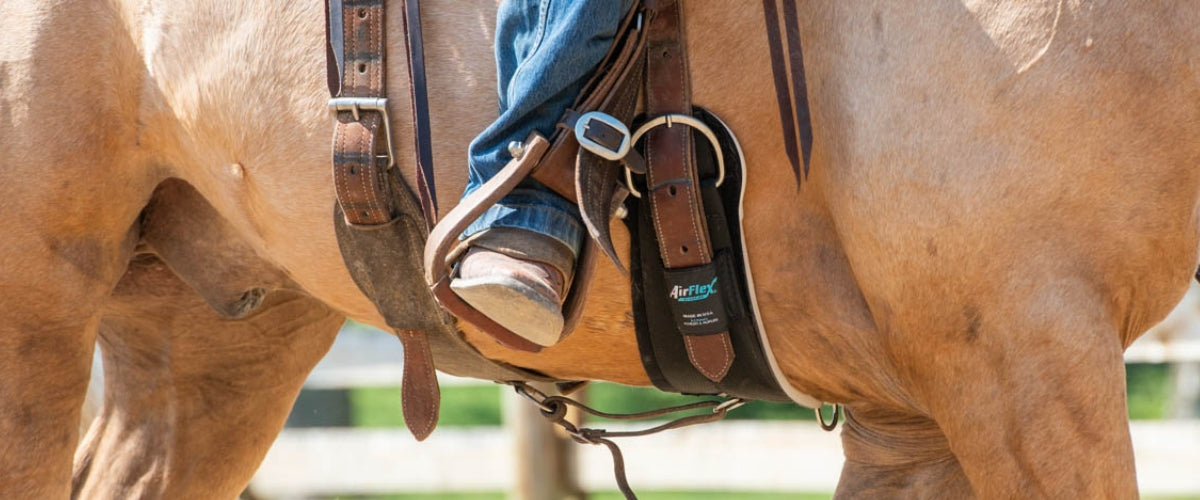 Leather Back Cinches Weaver Equine
