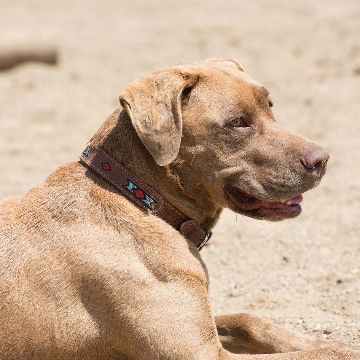 Native Spirit Collar