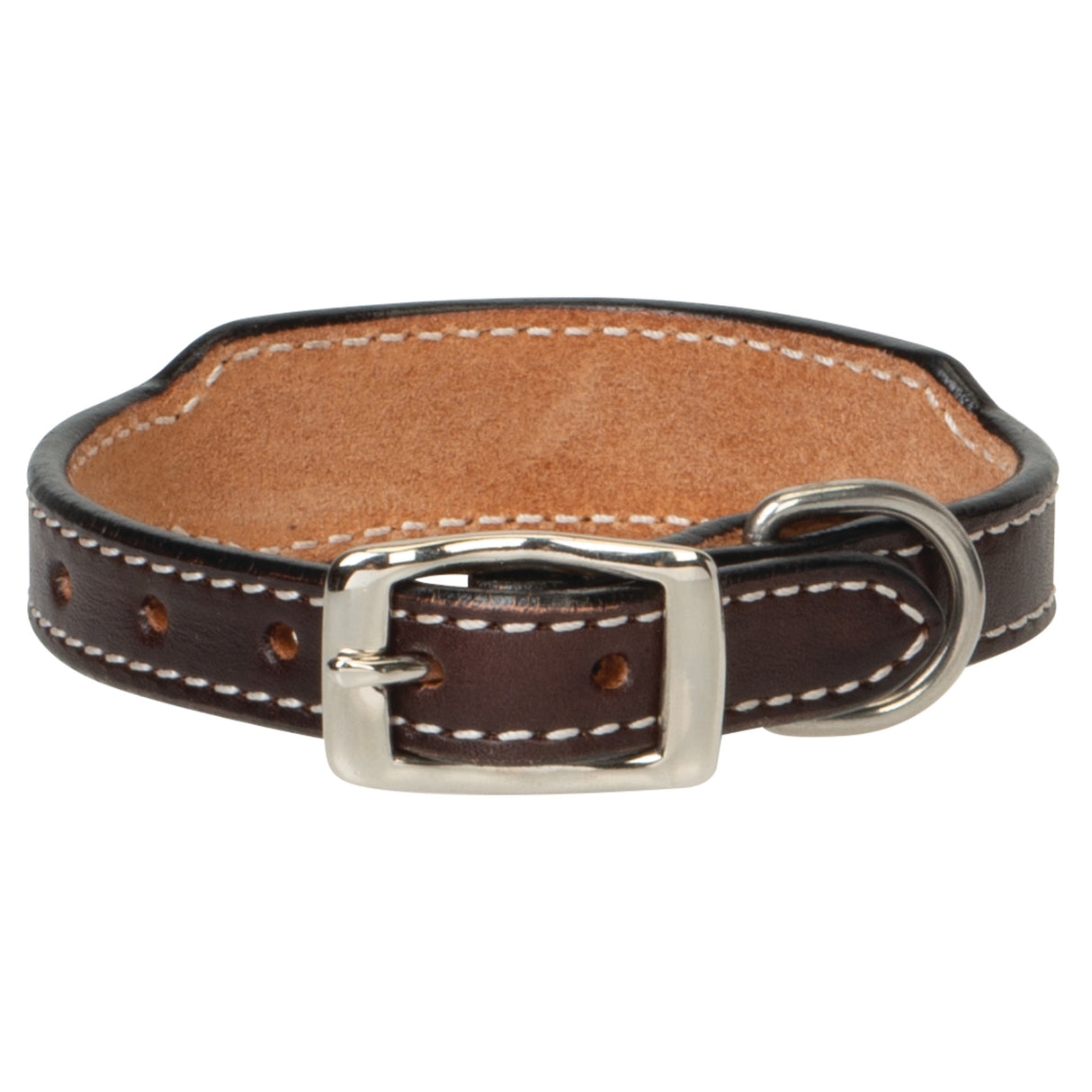 Painted Cactus Leather Dog Collar, buckle