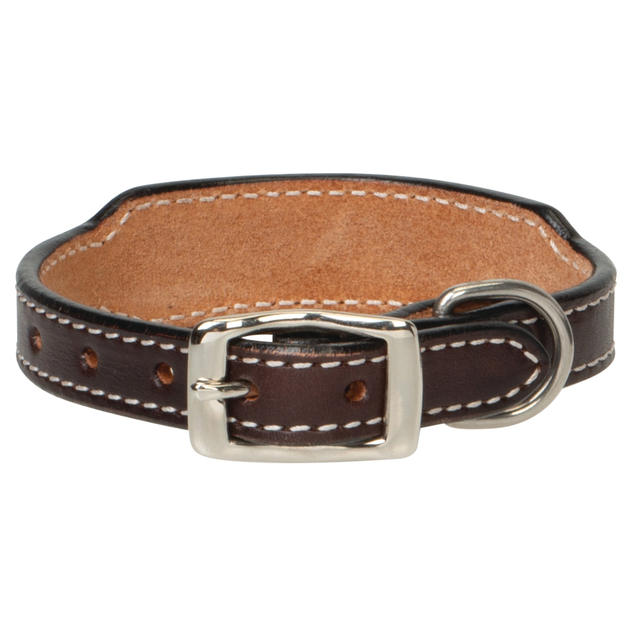 Painted Cactus Leather Dog Collar, buckle