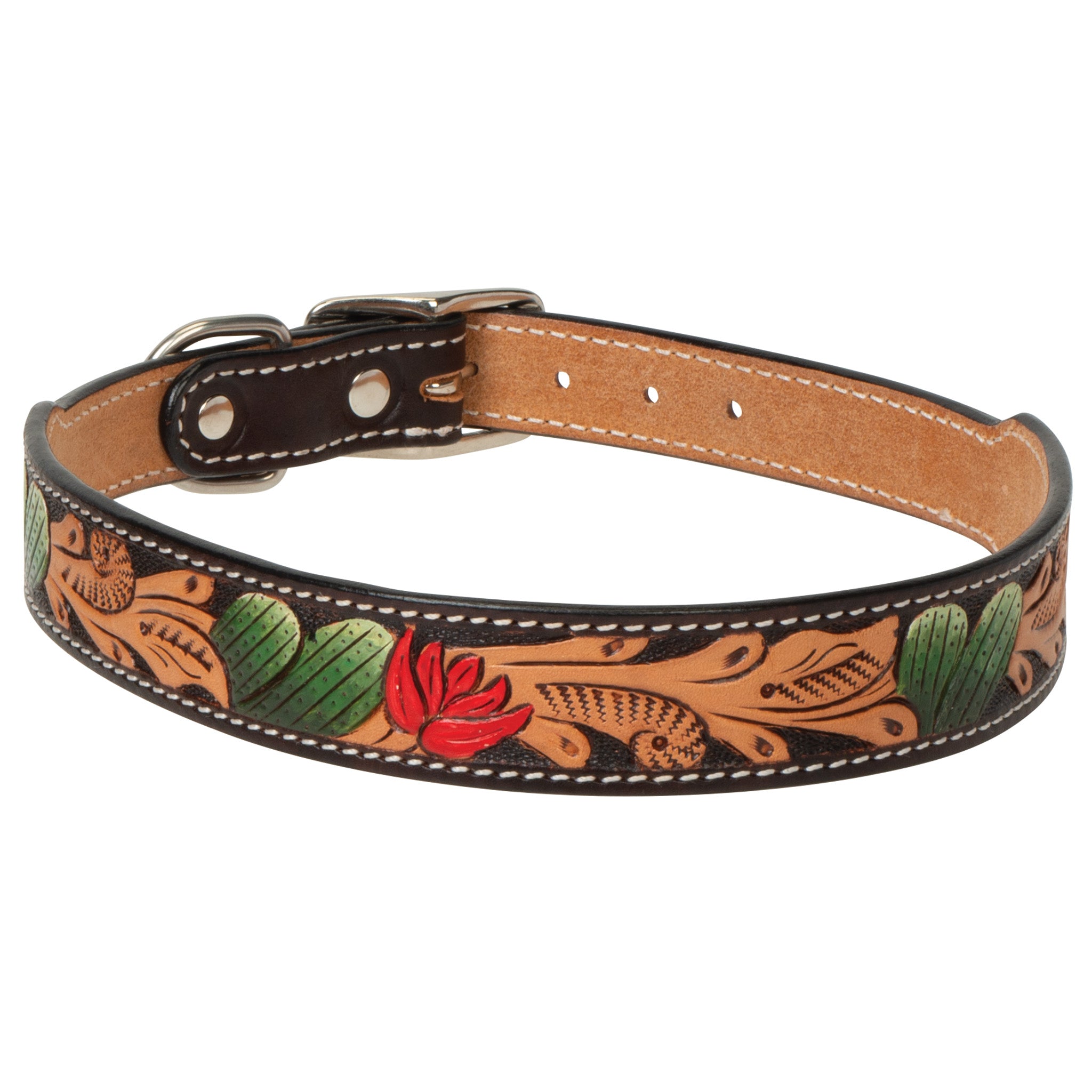 Painted Cactus Leather Dog Collar, 21" - 25", front