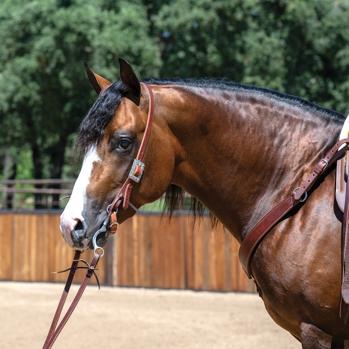 Harness Leather 3-1/2" Single Flat Link Chain Curb Strap