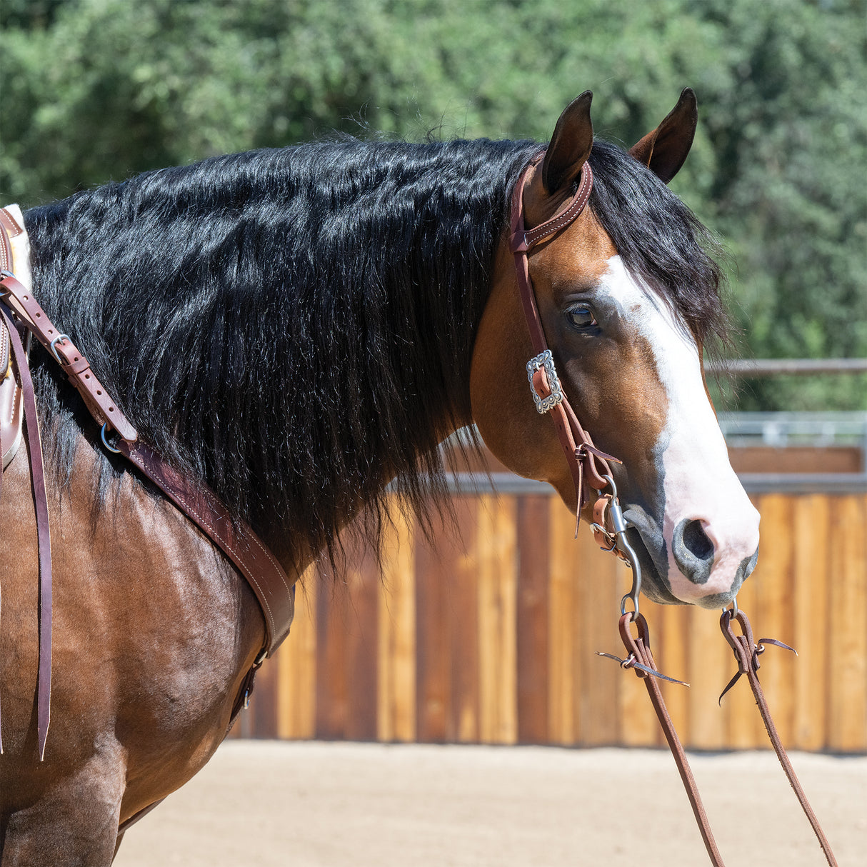 Harness Leather 3-1/2" Single Flat Link Chain Curb Strap