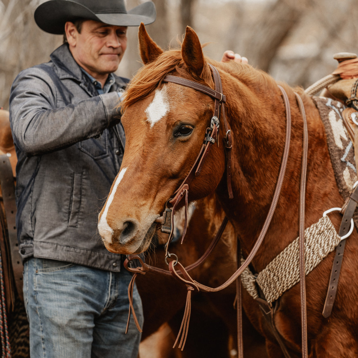 STS Ranch Signature Tack Harness Leather Browband Headstall, 3/4"