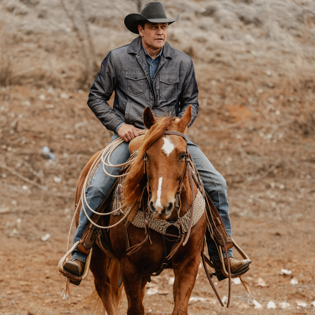 STS Ranch Signature Tack Harness Leather Browband Headstall, 3/4"