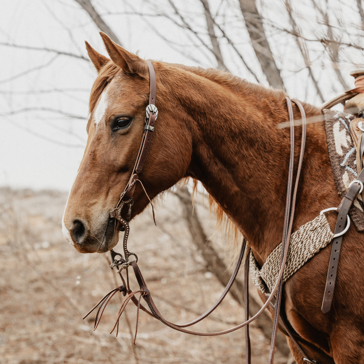 STS Ranch Signature Tack Harness Leather Sliding Ear Headstall, 3/4"