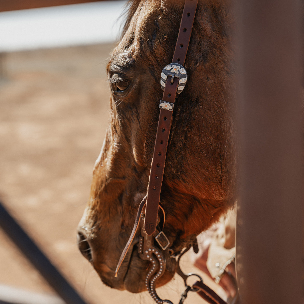STS Ranch Signature Tack Harness Leather Split Ear Headstall, 3/4"
