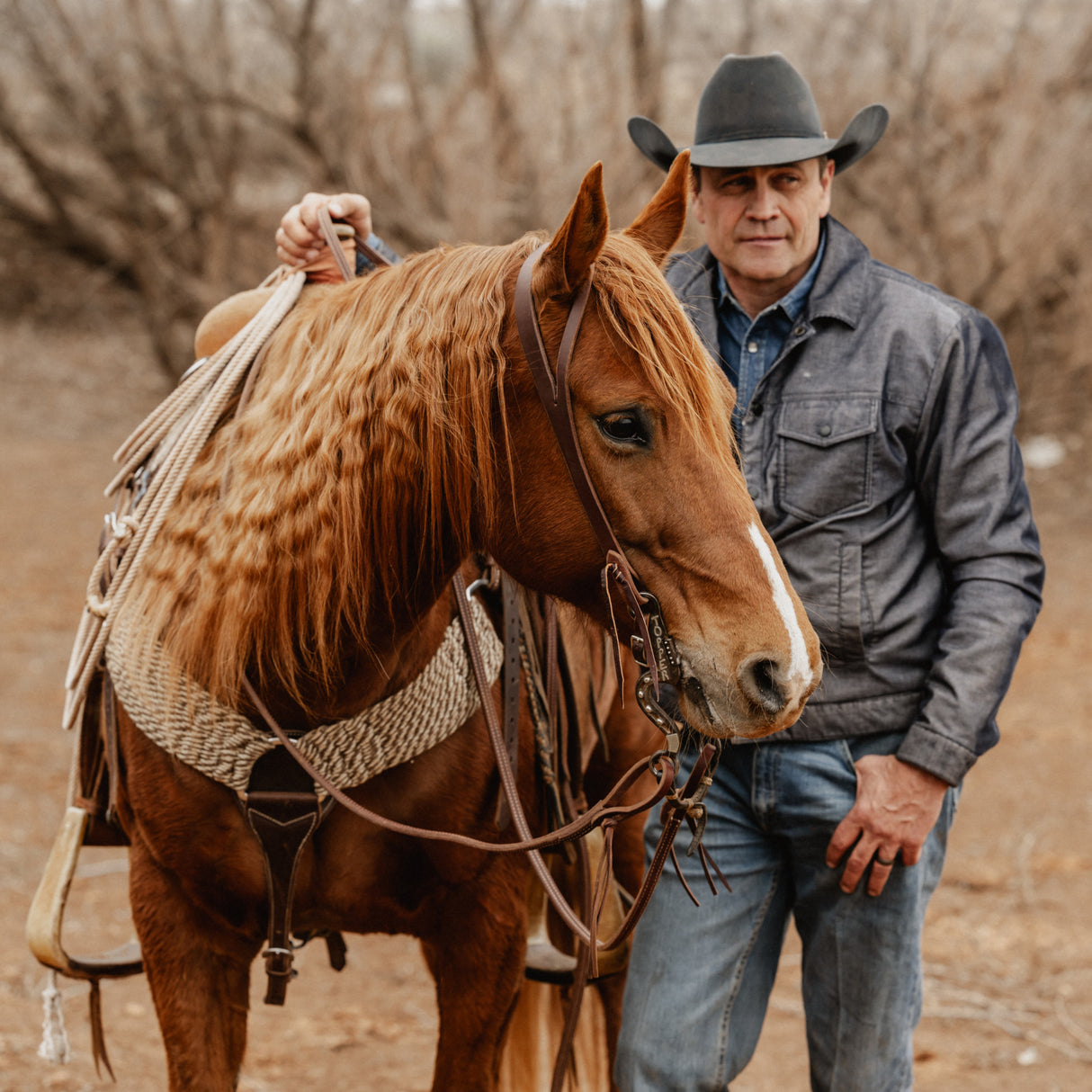 STS Ranch Signature Tack Harness Leather Split Ear Headstall, 3/4"