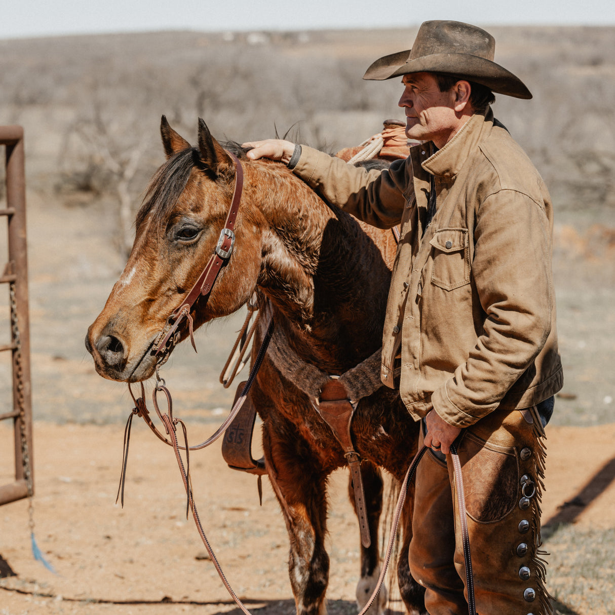 STS Ranch Signature Tack Harness Leather Split Ear Headstall, 1"