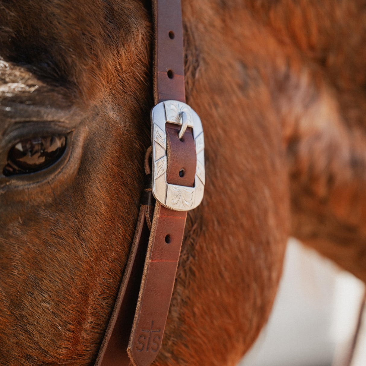 STS Ranch Signature Tack Harness Leather Split Ear Headstall, 1"