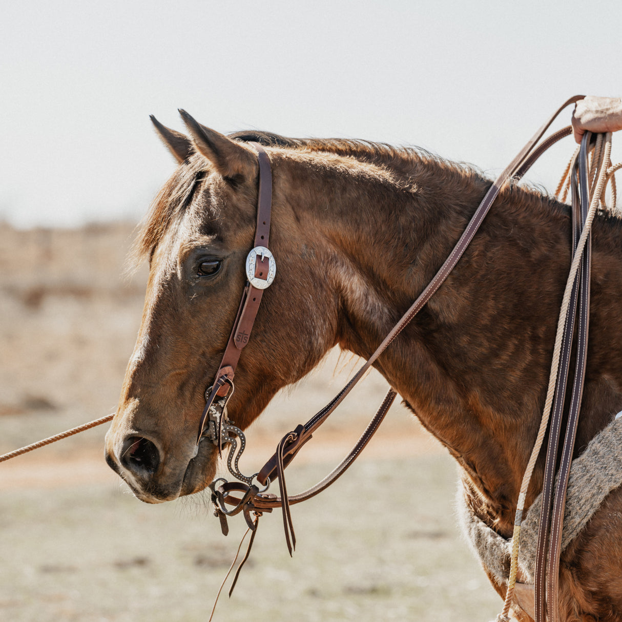 STS Ranch Signature Tack Harness Leather Split Ear Headstall, 1"
