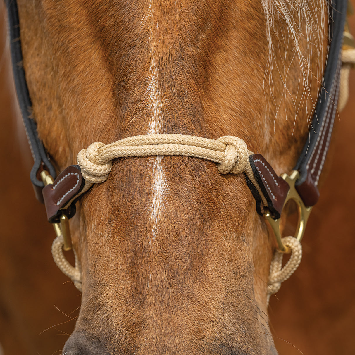 Kalley Krickeberg Leather & Rope Combination Horseman's Halter