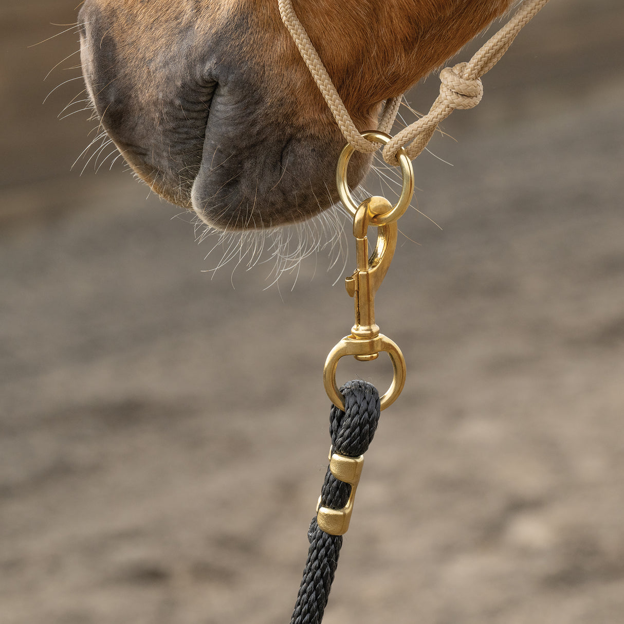 Kalley Krickeberg Leather & Rope Combination Horseman's Halter