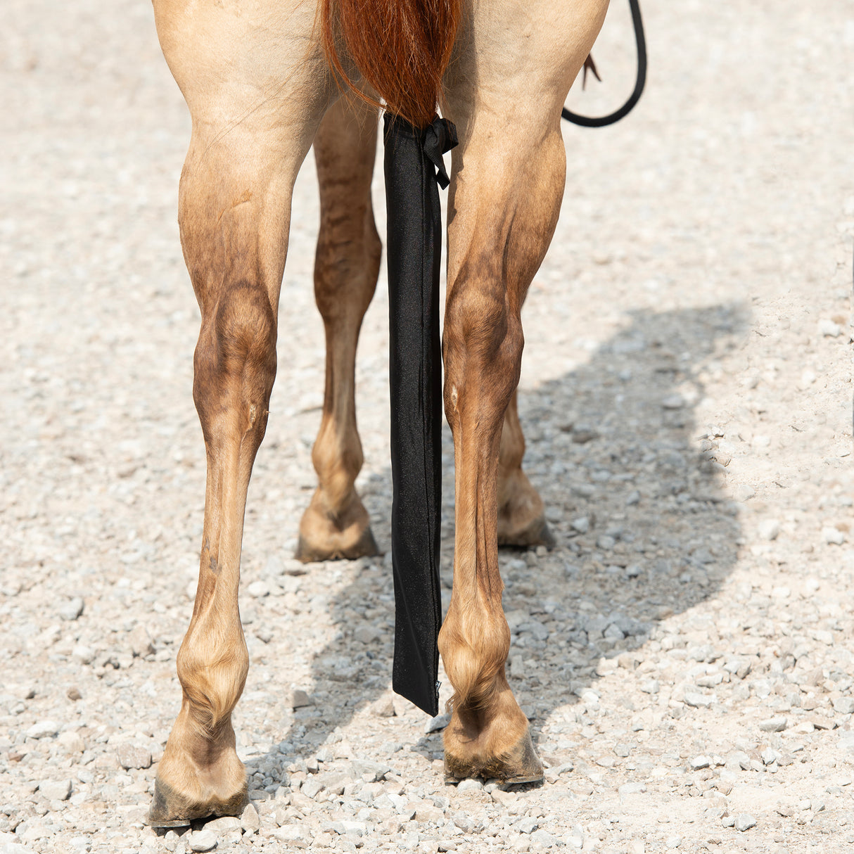 Lycra® Spandex Tail Bag