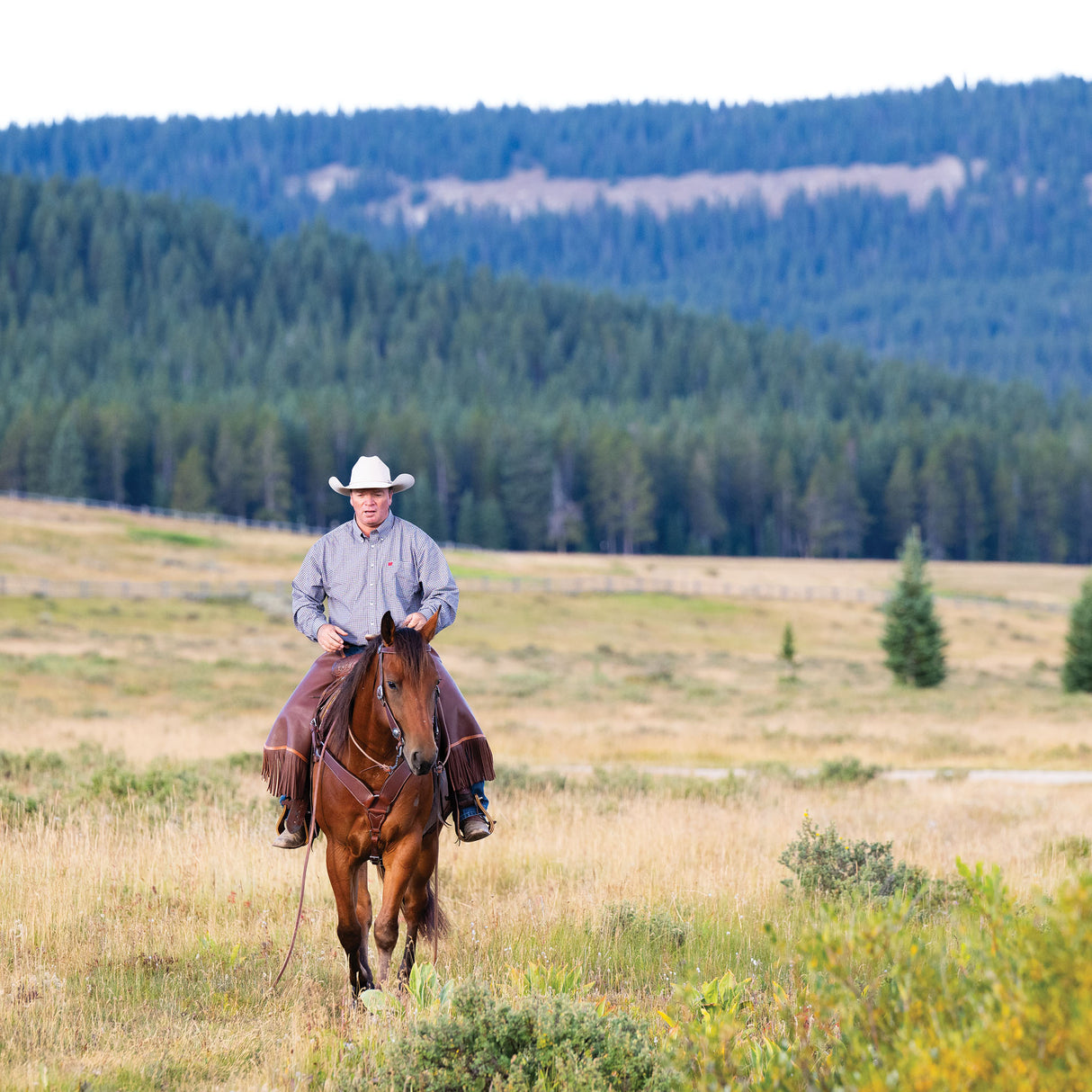 Basin Cowboy Breast Collars