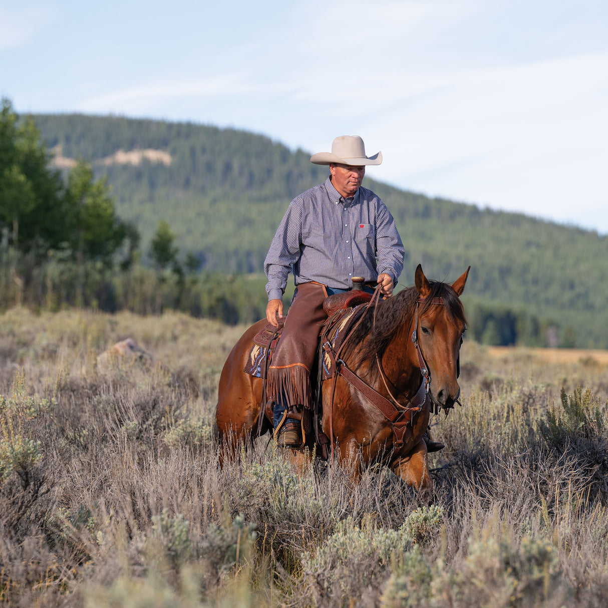 Basin Cowboy Breast Collars