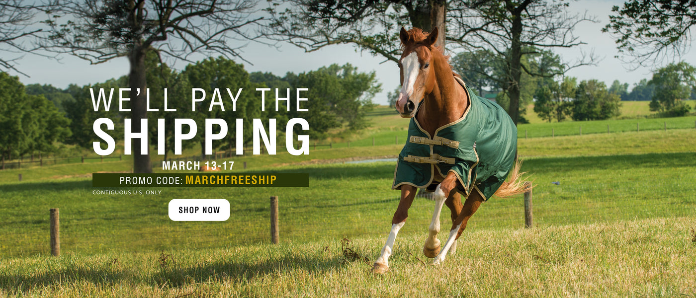 Horse running in a field with promotional text overlay