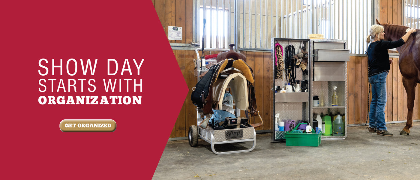 Woman grooming a horse in a barn beside organized tack and grooming storage, with show boxes, saddle cart, and supplies ready for show day.