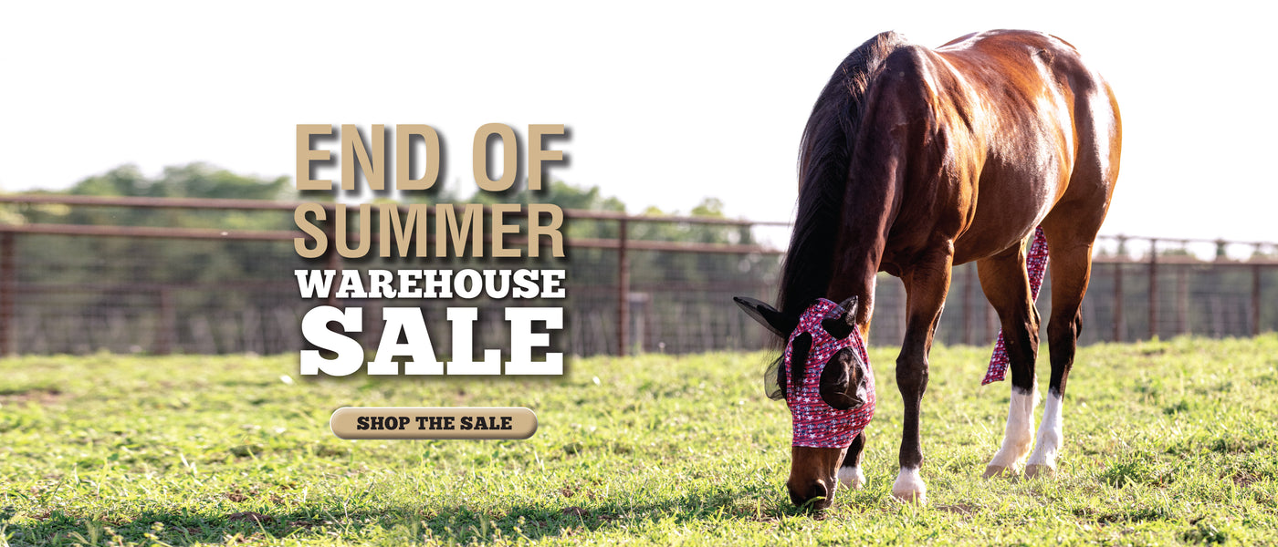End of summer warehouse sale featuring a brown horse grazing in a sunny pasture.