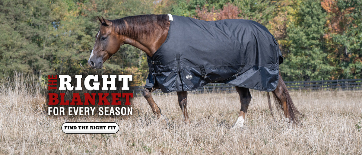 Horse wearing a black turnout blanket in a field with text reading, “The right blanket for every season.”