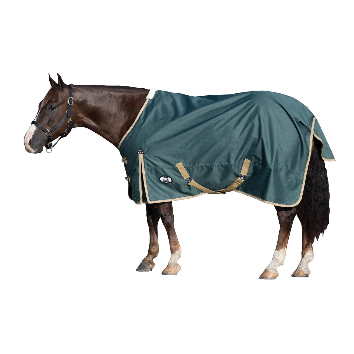 Horse Blanket for Turnout, Medium Weight, 200g Fill, 600 Denier Ripstop