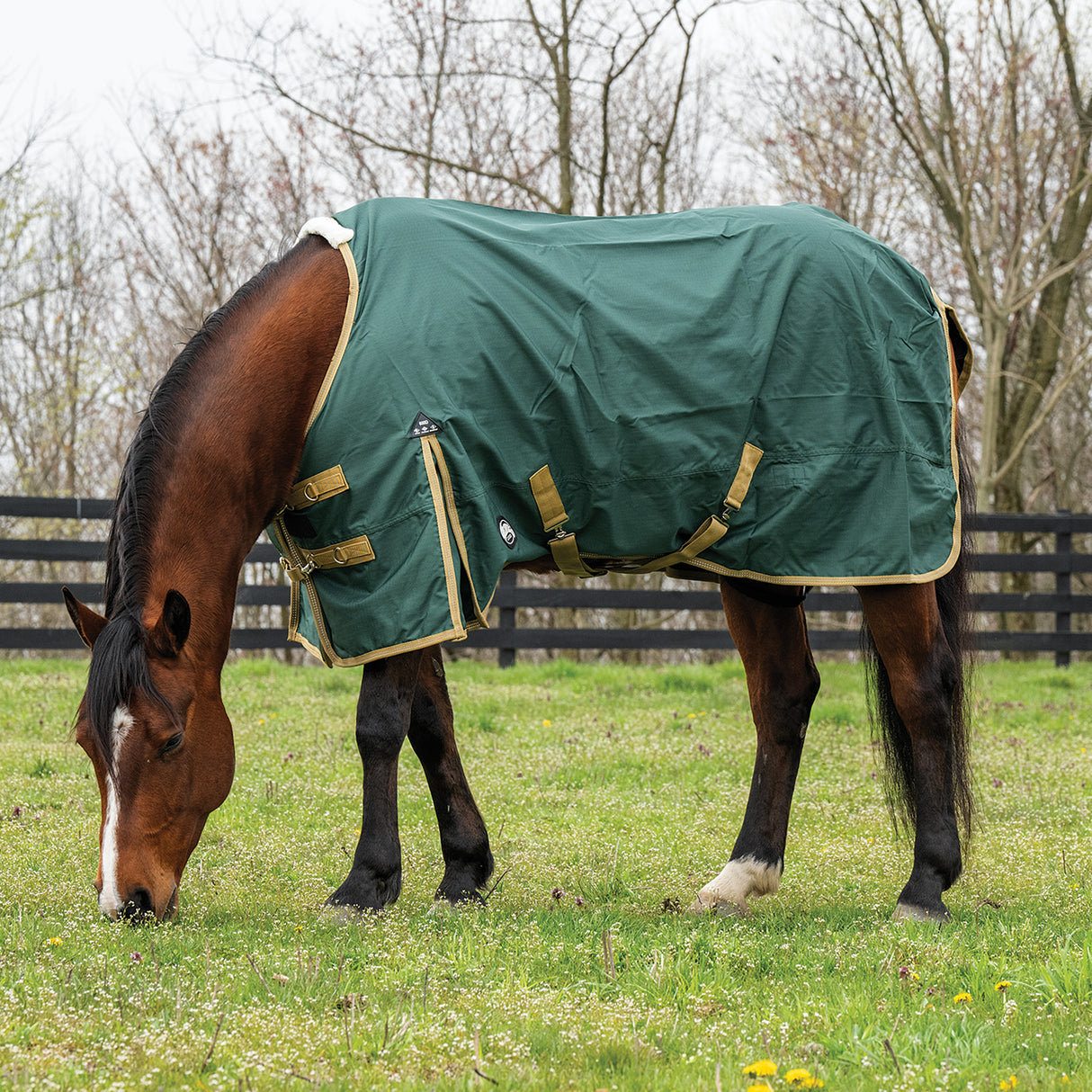 Horse Rain Sheet for Turnout, Lightweight, No Lining, 600 Denier
