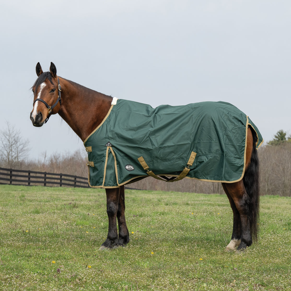 Horse Rain Sheet for Turnout, Lightweight, No Lining, 600 Denier