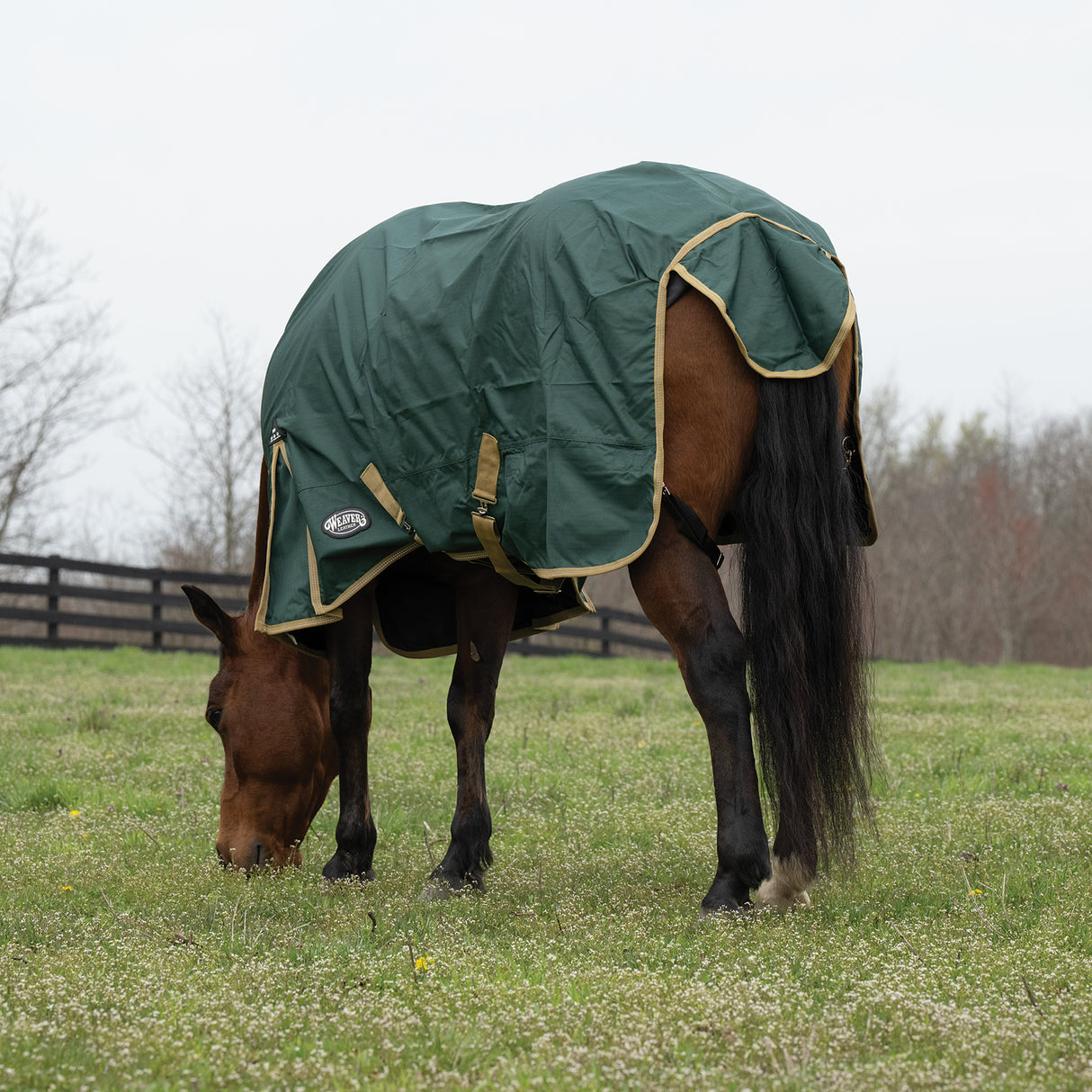 Horse Rain Sheet for Turnout, Lightweight, No Lining, 600 Denier