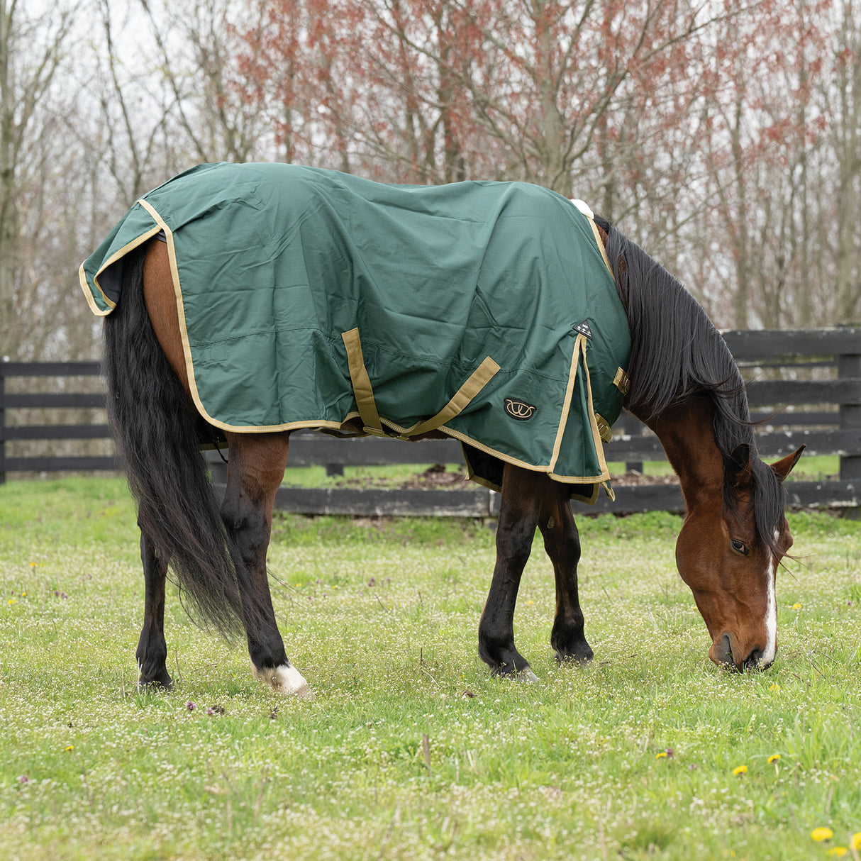 Horse Rain Sheet for Turnout, Lightweight, No Lining, 600 Denier