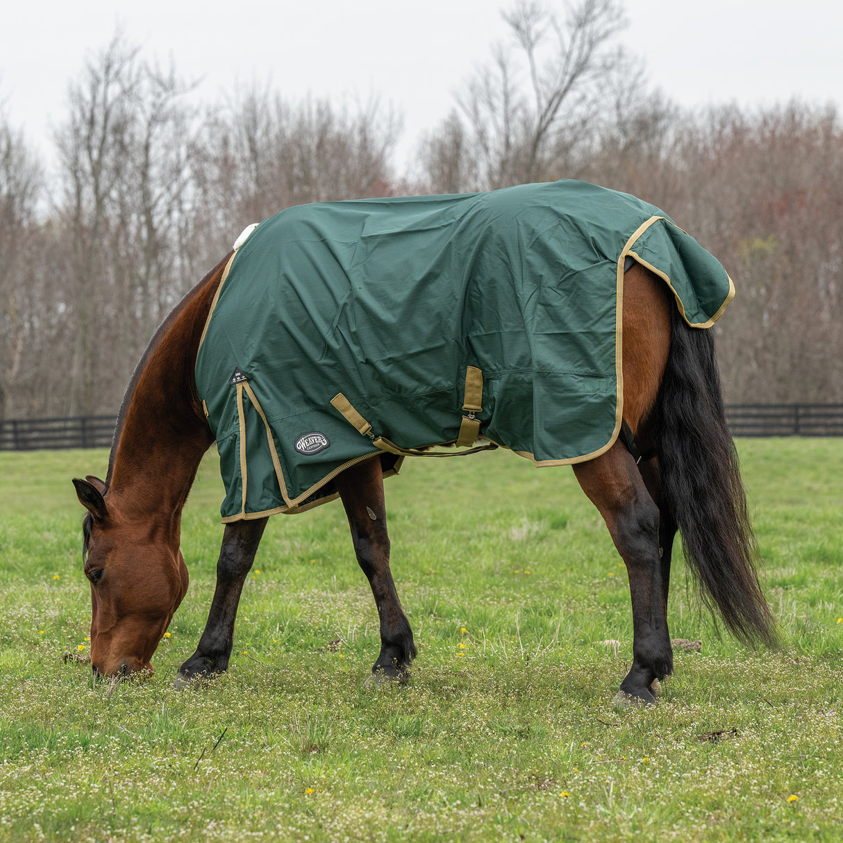 Horse Rain Sheet for Turnout, Lightweight, No Lining, 600 Denier