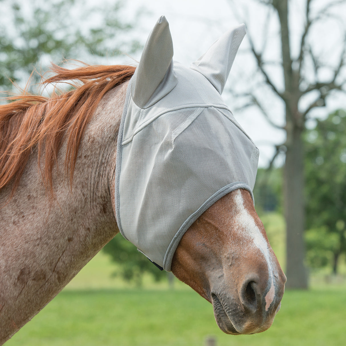 Covered Ear Fly Mask with Xtended Life Closure System