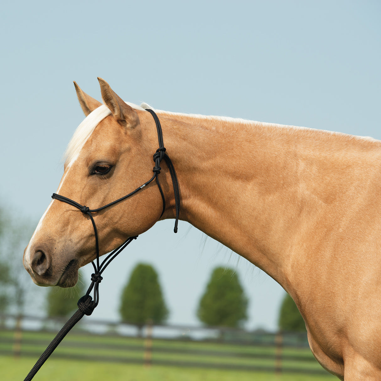 Silvertip Big Sky Rope Halter