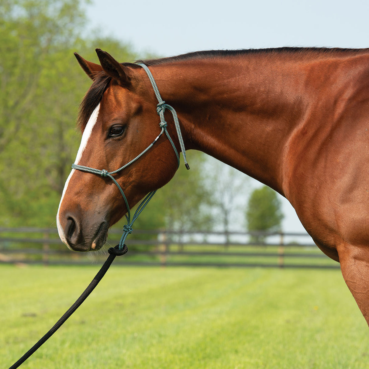 Silvertip Big Sky Rope Halter