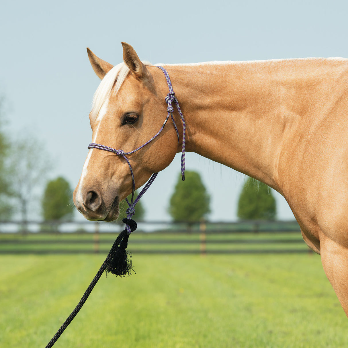 Silvertip Big Sky Rope Halter
