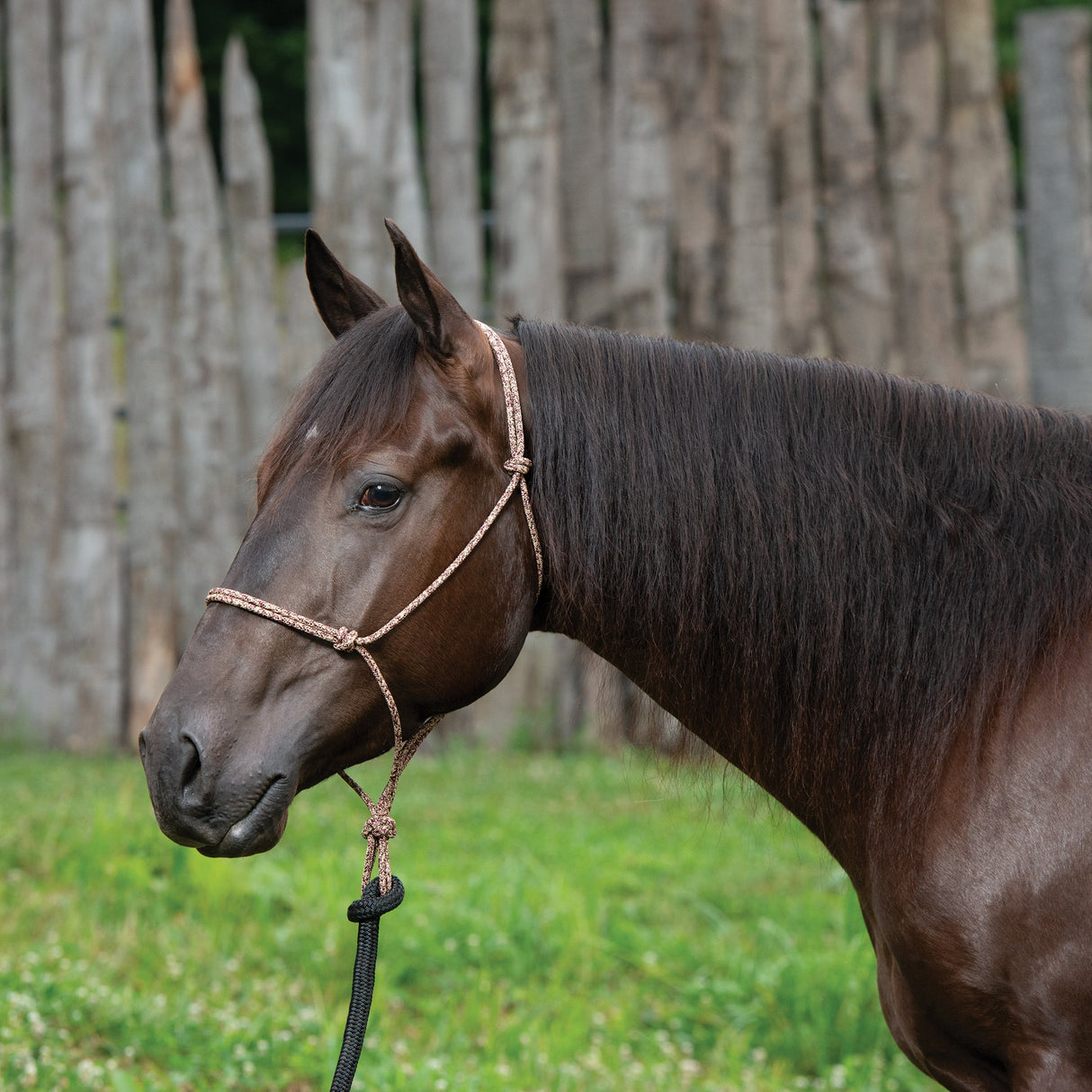 Silvertip Big Sky Rope Halter