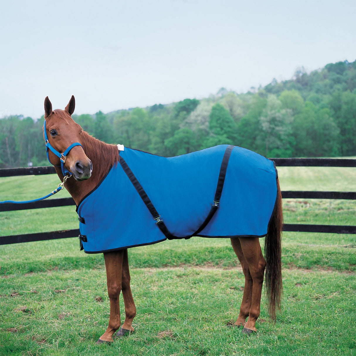 Polar Fleece Sheet